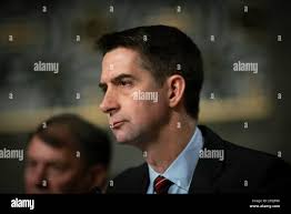 Tom cotton hi-res stock photography and images