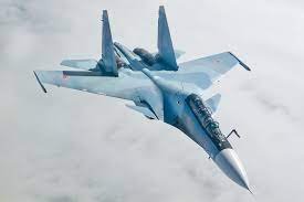 This one of a kind creature has been living for the past six centuries su is known to have made and lost many friends in his long life so he appears to be rather recluse at. Sukhoi Su 30 Wikipedia