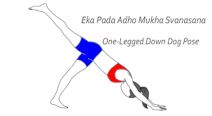 •hold for anywhere from a few breaths to a few minutes, then release. Eka Pada Adho Mukha Svanasana One Legged Down Dog Sarvyoga Yoga