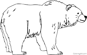 Surfnetkids » coloring » animals » bear » grizzly bear. Brown Bear Coloring Pages Coloringall