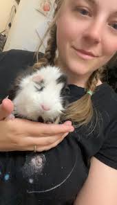Guinea Pig Loss and Condolences