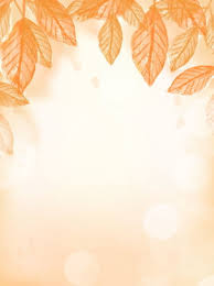 Golden leaves on a korean maple tree (acer pseudosieboldianum) in autumn. Korean Golden Leaves New Year Traditional Background Korea Golden Leaf Background Image For Free Download