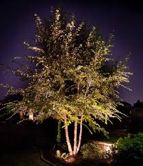 How To Incorporate A Memorial Tree Into Your Landscape Inaray Design Group