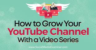 How To Grow Your Youtube Channel With A Video Series Social Media Examiner