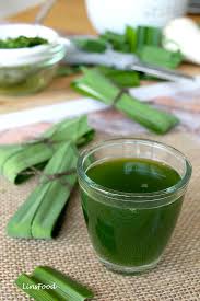 The edible pandanus leaf (pandanus amaryllifolius) or commonly know as pandan, is a leaf that is used extensively in south asian (sri lanka and india) and southeast asian (predominantly in. What Is Pandan And How Do You Use It