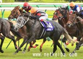 This grammar is the casual spoken way to say that one must do something. ã‚«ãƒ¬ãƒ³ãƒãƒ£ãƒ³ ç«¶èµ°é¦¬ãƒ‡ãƒ¼ã‚¿ Netkeiba Com