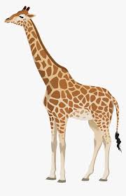 Cute giraffe clipart black and white. Giraffe Clipart Png Clipart Black And White Download Transparent Background Giraffe Clipart Png Download Transparent Png Image Pngitem