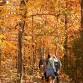 Fall Color Hikes at Owl’s Hill event image