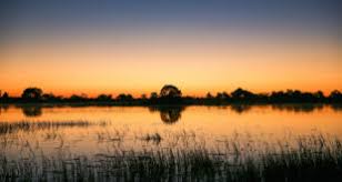 Botswana reisen & urlaub direkt vom spezialisten! Tipps Infos Vom Botswana Spezialisten Botswana Reisen Informationsportal