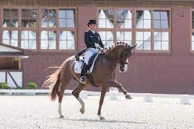 To be precise, she has not seen a showground at all for three and a half years due to injury. Bella Rose Fur Isabell Werth Erste Wahl Reitturniere De News Ergebnisse Turnierkalender Ranglisten