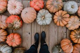 You must need pumpkin patch captions for your instagram account. 50 Best Pumpkin Puns And Quotes To Make You The Pun King