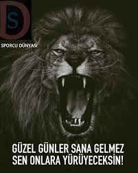 Ozlu Sozler Panosundaki Pin