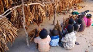 Im herbst könnte es eine impfung für jüngere kinder geben. Kinderarbeit In Afrika Plan International
