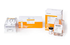 Creating a 3d animal cell project is a great way to model and familiarize yourself with all the various organelles that make up an animal cell. Miseq Reagent Kit V2 Sequencing Chemistry For Longer Reads More Output