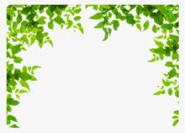 Download Leaf Border Png Transparent Leaf Border Png Image Free Download Pngkey