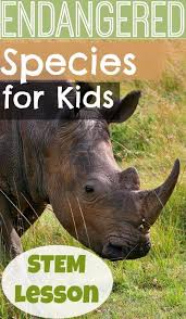 How To Protect Endangered Species For Kids The Work Of Conservation Endangered Species Activities Endangered Animals Endangered Animals Facts
