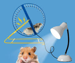 💡 We're introducing a revolutionary new energy source: Hamster Power! 🔌  Say goodbye to traditional power generation and hello to the adorable power  of hamsters on wheels. Watch them spin their way