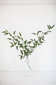 This returns energy back to the stem and the original florist cut is now old, and the flower may not be taking up the water it needs to live. Complete Guide To Flowers And Foliage That Last Without Water