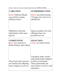 Some of the worksheets for this concept are natural selection work answers, darwins natural selection work, darwins natural selection work, work the theory of natural selection, work lamark versus darwins evolutionary theory, galpagos finches famous beaks activity, 2 introduction, darwins. Darwinian Natural Selection Theory