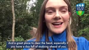 Final year History and Politics student, Emily Acheson, talks about the  many support services available to students in UCD during the COVID-19  pandemic , #RisingtotheChallenge.