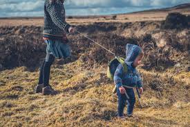 See more ideas about cute toddlers, toddler outfits, toddler. 15 Cute Toddler Harness Backpacks You And Your Toddler Will Love Our Globetrotters