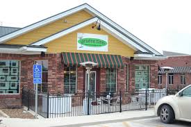 Pub Crawl: Gruene Tini's