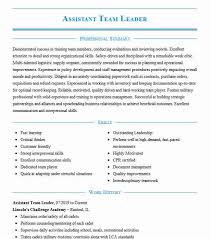 The key performance indicators (kpi) of a team leader in a bpo depends on the work environment. Assistant Team Leader Resume Example Leader Resumes Livecareer
