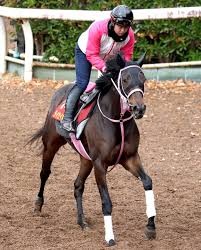 【チューリップ賞】タイセイボーグが万全の態勢で桜花賞へ 松下 ...