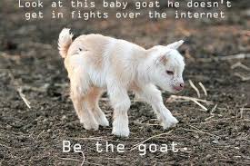 Look At This Baby Goat He Doesn T Get In Fights Over The Internet Be The Goat Goats Know Your Meme