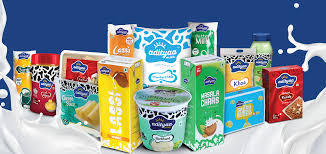Dairy