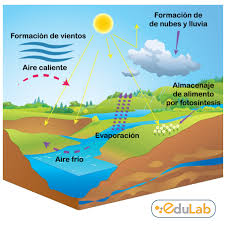 ‍♀️ ¿Sabías que la energía solar permite que diversos procesos se  lleven a cabo en la Tierra? Algunos de estos procesos son: la fotosíntesis  y almacenaje de alimentos, la formación de vientos,