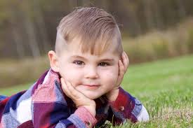 Family Tree Photography by Melissa Shawley