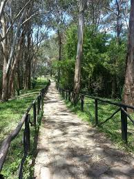 Pin On When I Look At The World