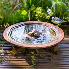 Vogel Und Insektentranke In 2020 Wasser Im Garten Pflanzen Gartenbedarf