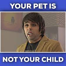 Ray S Funny Page Your Pet Is Not Your Child Facebook