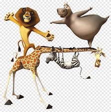 Tom mcgrath explained in an interview that the intention of madagascar was not to take. Madagascar Melman Illustration Alex Melman Madagascar Film Character Giraffe Mammal Animals Png Pngegg