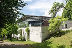 Image result for Pollichia