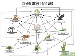 The Tropical Rainforest Food Chain: Who Eats Who?