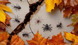 Seasonal Pests and How to Prepare for Them Each Year