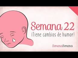 Cuantas veces por semana se puede entrenar piernas. Embarazo Semana A Semana Youtube 22 Semanas De Embarazo Ejercicios De Embarazo Embarazo Semana A Semana