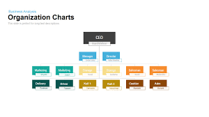 organization chart powerpoint template and keynote slide