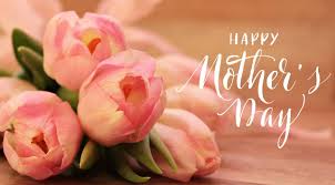 New 2021 mother's day flowers! Mother S Day Flowers The Great Big Greenhouse