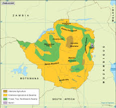 The vegetation of africa, a descriptive memoir to accompany tha unesco/aetfat/unso vegetation map of africa (3 plates. Zimbabwe Vegetation Map Eps Illustrator Map Vector World Maps