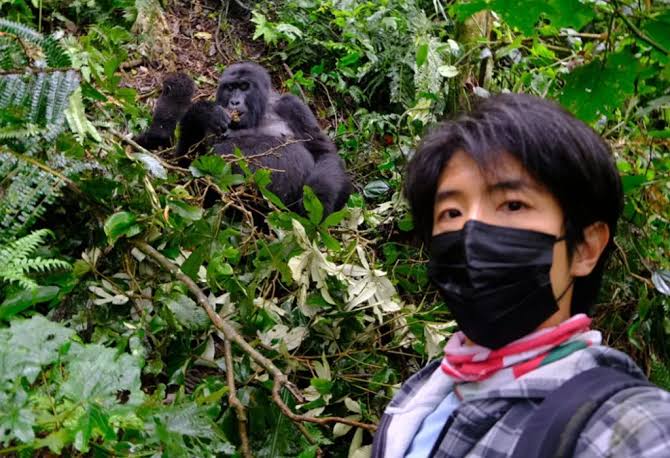 Gorilla Trekking with Children: Amazing 2026/27 Guide