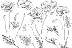 Check spelling or type a new query. Come Disegnare Un Fiore Facilmente I Video Tutorial Donnad