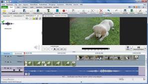 75 1 1 i created a scratching pad for my girlfriends cats. Videopad Video Editing Software