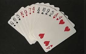 We buy, test, and write reviews. Bridge Why Shuffle The Deck Seven Times Mind Matters