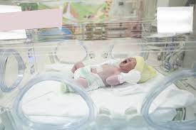 Definicion De Incubadora Neonatal Concepto En Definicion Abc
