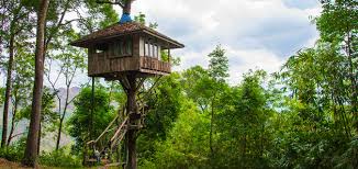 If you're considering a career in tree. 5 Ways To Build A Business Empire Like Treehouse Master Pete Nelson Businesscollective