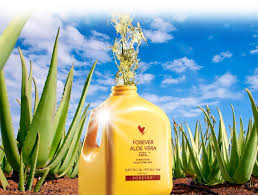 The aloe vera gel shop. Ingredients Inside Forever Aloe Vera Gel Bottle